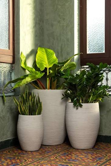 FRP Planter
